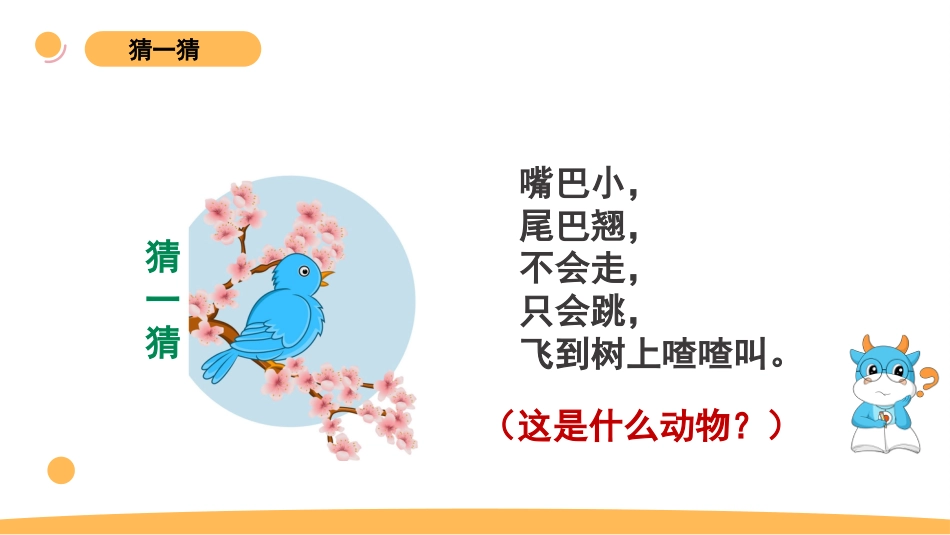 苏教版上册科学四上 1.3 《鸟类》课件.pptx_第2页