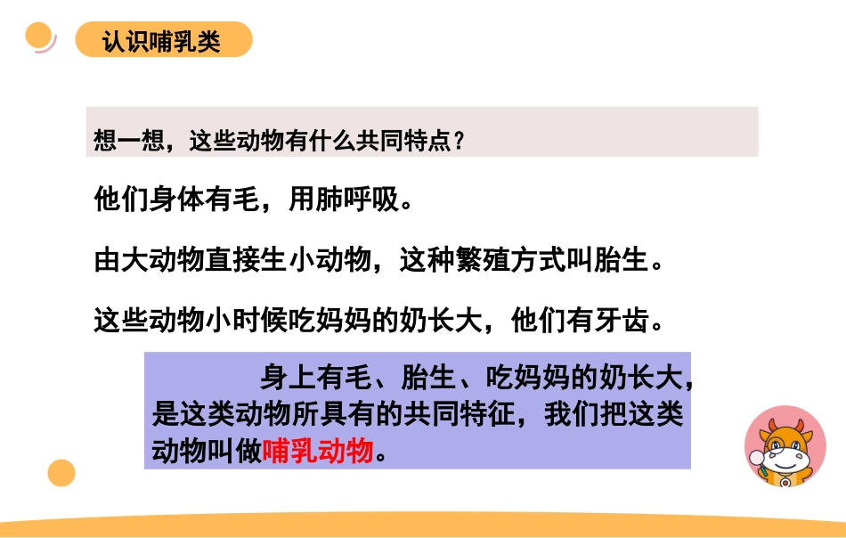 苏教版上册科学四上 1.4 《哺乳类》.pptx_第3页