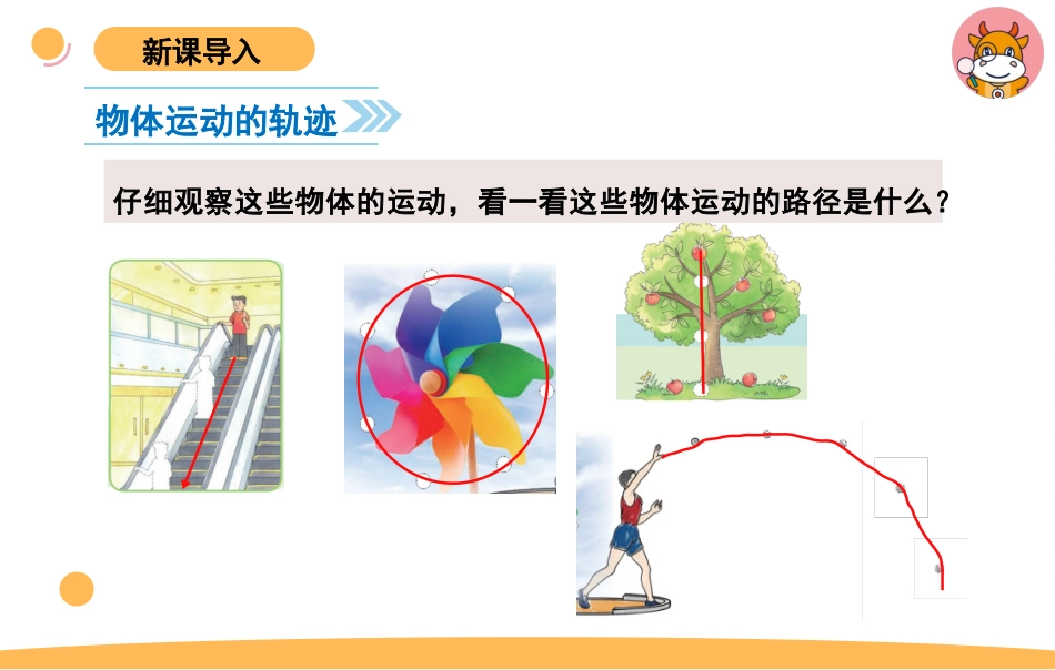 苏教版上册科学四上 2.2 不同的运动.pptx_第3页