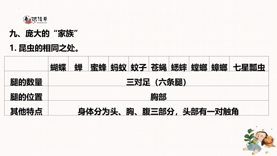 小学四年级科学上册-第三单元 昆虫（复习课件）-（苏教版）.pptx_第2页