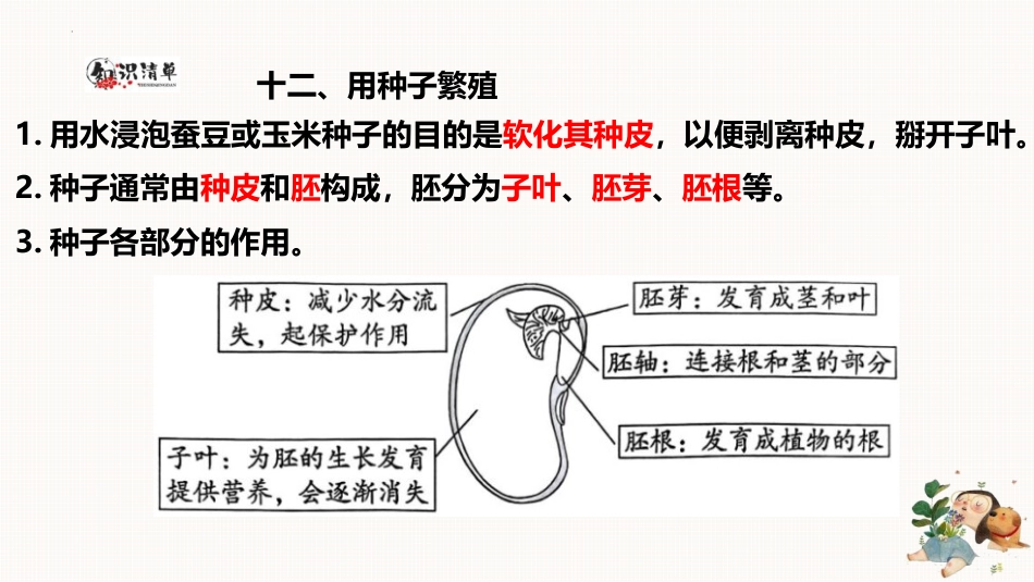 小学四年级科学上册-第四单元（复习课件）-（苏教版）.pptx_第2页