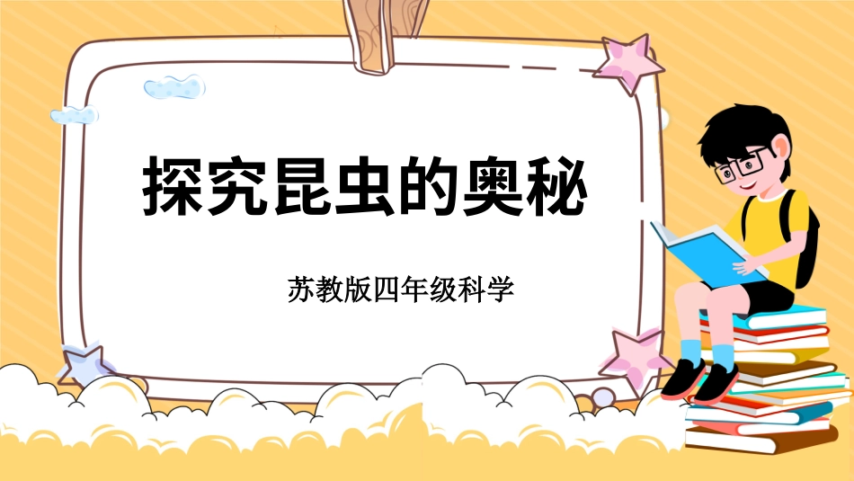 四年级下册科学-3.11探究昆虫的奥秘（课件）（苏教版）.pptx_第1页