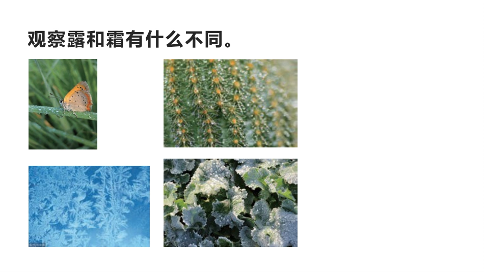 小学科学五上4-14《露和霜》.pptx_第2页