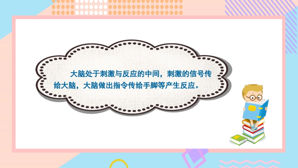 小学科学五上5-18《从刺激到反应》.pptx_第3页
