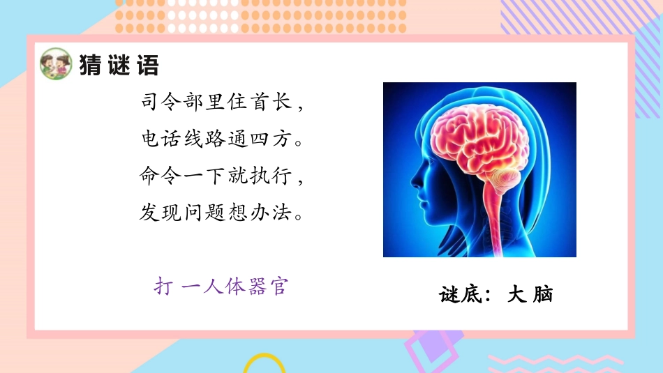 小学科学五上5-19《我们的大脑》.pptx_第2页