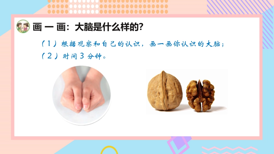 小学科学五上5-19《我们的大脑》.pptx_第3页