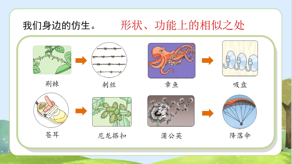 五年级科学下册-第5课 生物的启示（教学课件）-（苏教版）.pptx_第2页