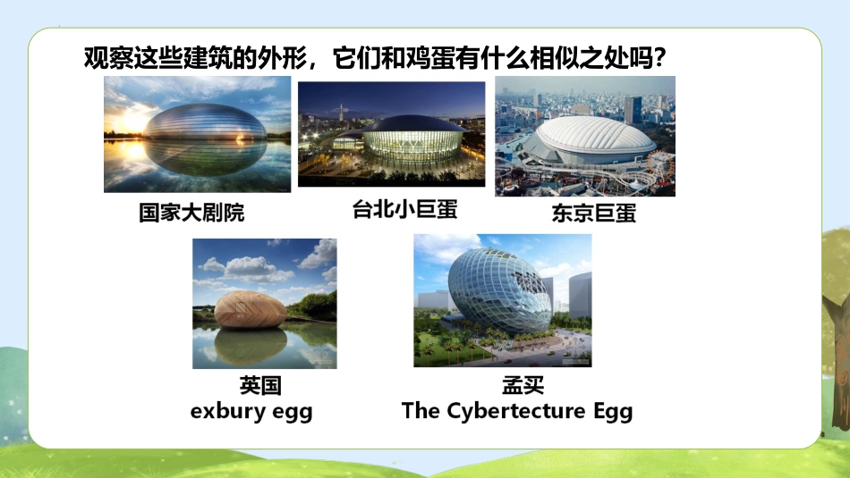 五年级科学下册-第6课 蛋壳与薄壳结构（教学课件）-（苏教版）.pptx_第2页