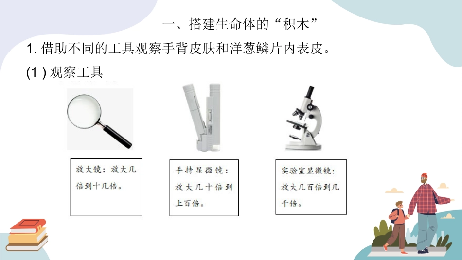 五年级科学下册-第一单元 显微镜下的生命世界（复习课件）-（苏教版）.pptx_第2页
