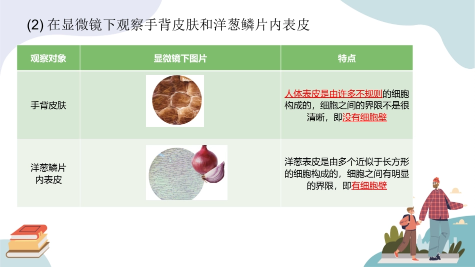 五年级科学下册-第一单元 显微镜下的生命世界（复习课件）-（苏教版）.pptx_第3页