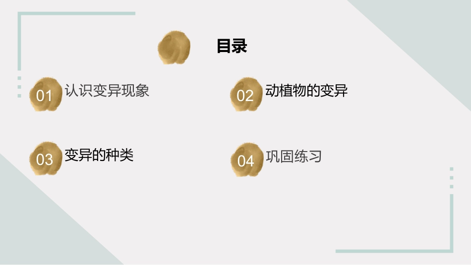 小学六年级科学上册-第6课 生物的变异（教学课件）（苏教版）.pptx_第2页