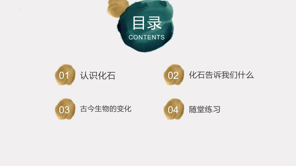 小学六年级科学上册-第9课 化石告诉我们什么（教学课件）（苏教版）.pptx_第2页