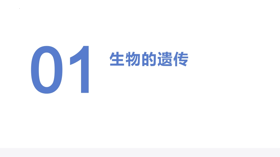 小学六年级科学上册-第二单元 遗传与变异（复习课件）（苏教版）.pptx_第3页