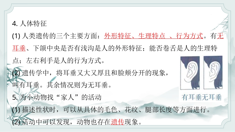 小学六年级科学上册-第二单元（复习课件）-（苏教版）.pptx_第3页