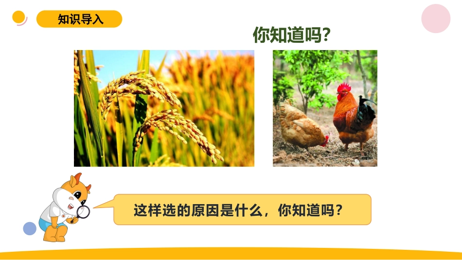 小学苏教版科学六上2.1《生物的遗传》PPT.pptx_第2页