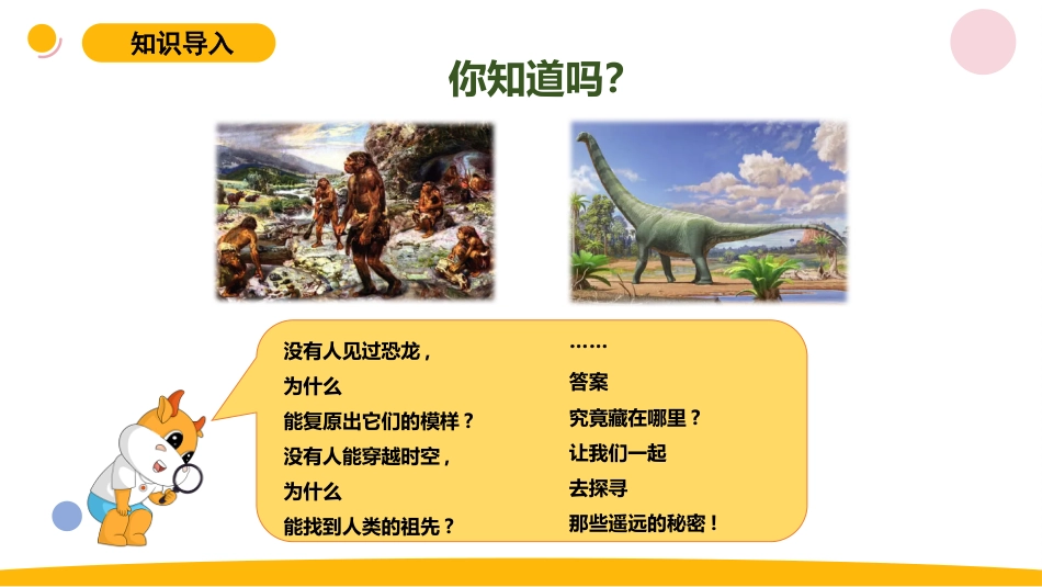 小学苏教版科学六上3.1《消失的恐龙》PPT.pptx_第2页