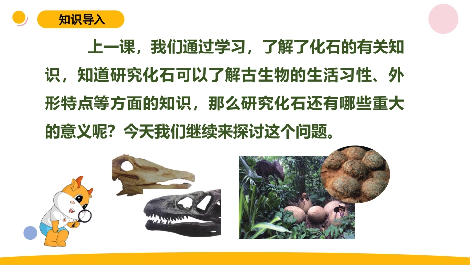 小学苏教版科学六上3.3《用化石做证据》PPT.pptx_第2页