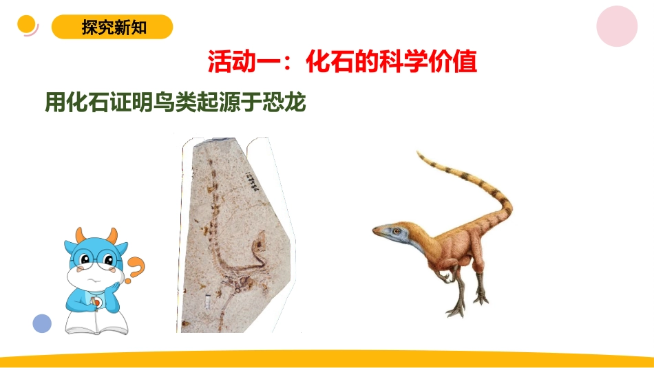 小学苏教版科学六上3.3《用化石做证据》PPT.pptx_第3页