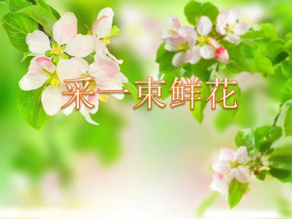 人音版四年级上册音乐《采一束鲜花》课件.ppt_第1页