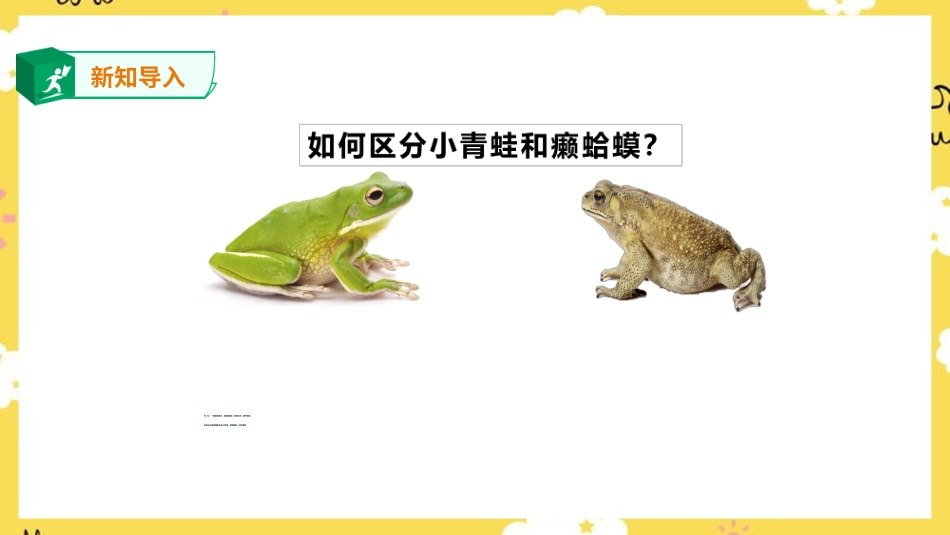 人音版音乐四年级下册第三课第2课时《癞蛤蟆和小青蛙》《水乡船歌》（课件）.ppt_第2页