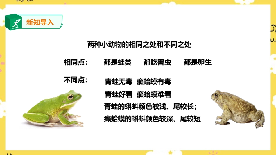 人音版音乐四年级下册第三课第2课时《癞蛤蟆和小青蛙》《水乡船歌》（课件）.ppt_第3页