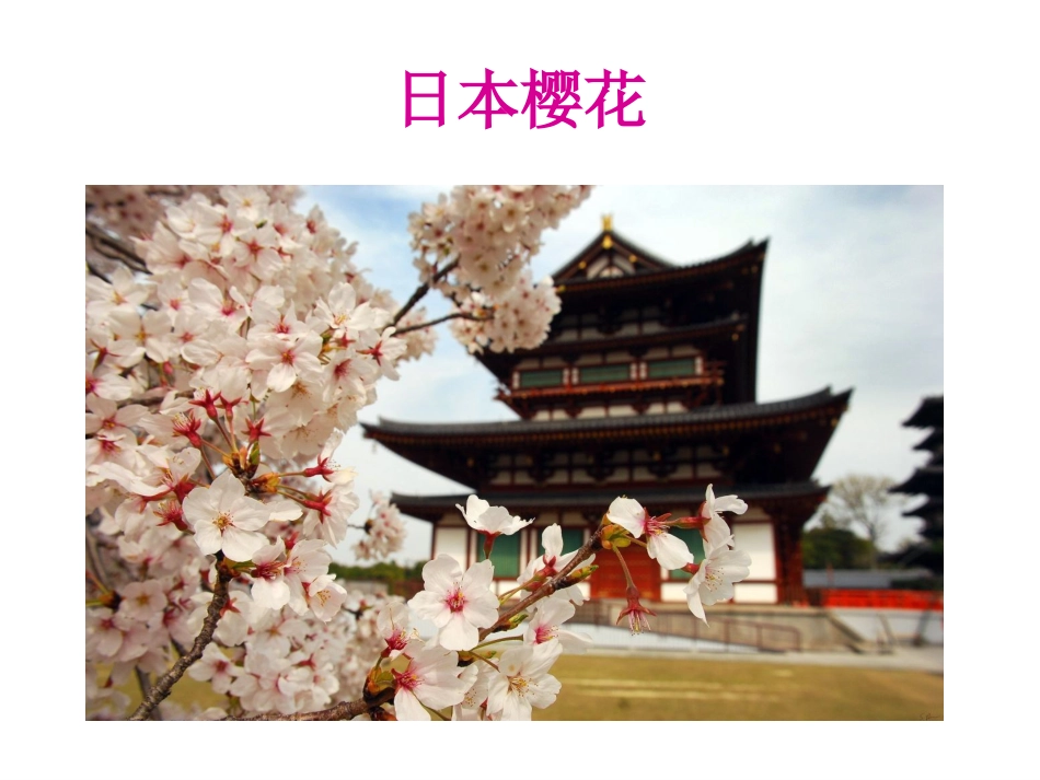 人音版四年级下册音乐-3 《红蜻蜓》课件.ppt_第3页