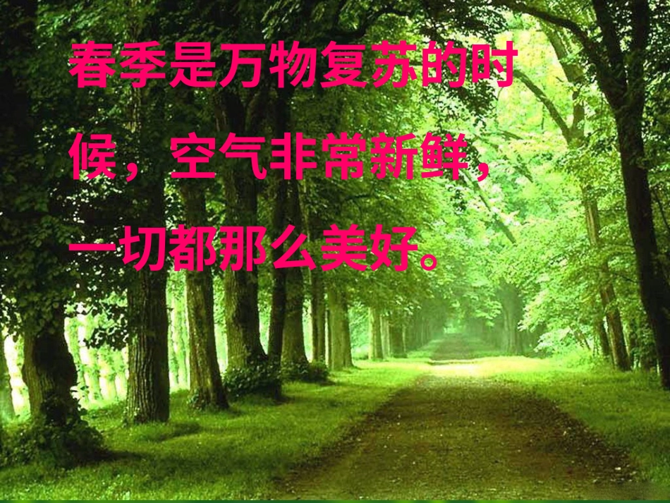 五年级上册人音版音乐-《苹果丰收》课件.ppt_第3页
