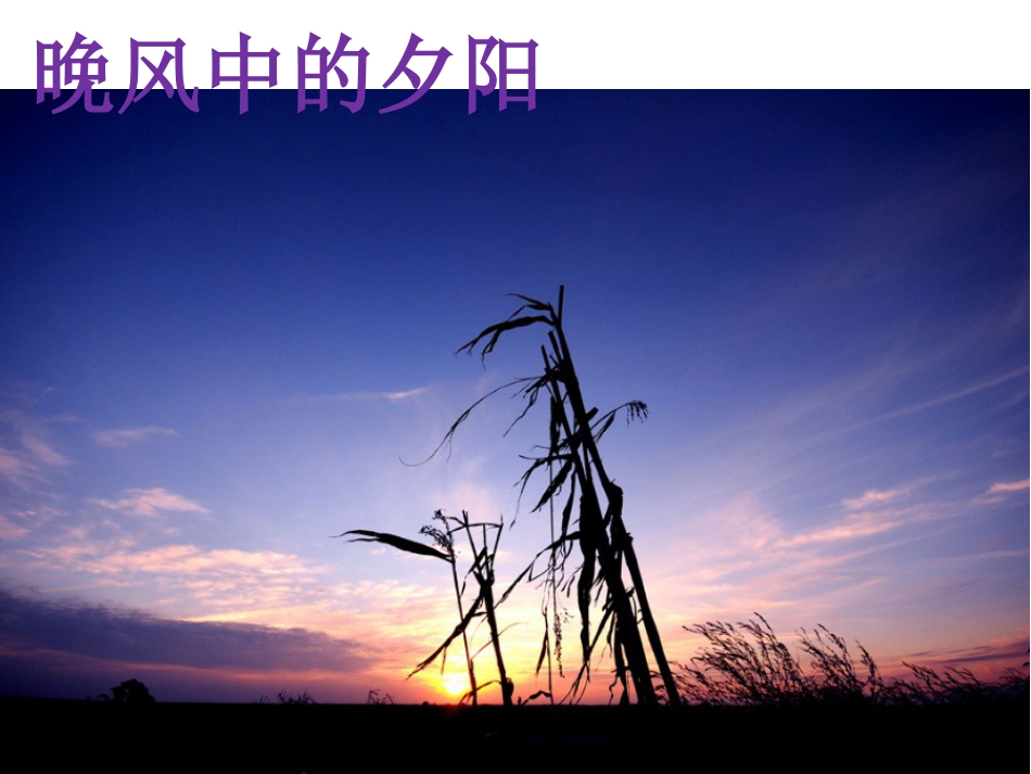 五年级上册人音版音乐-《晚风》课件.ppt_第3页