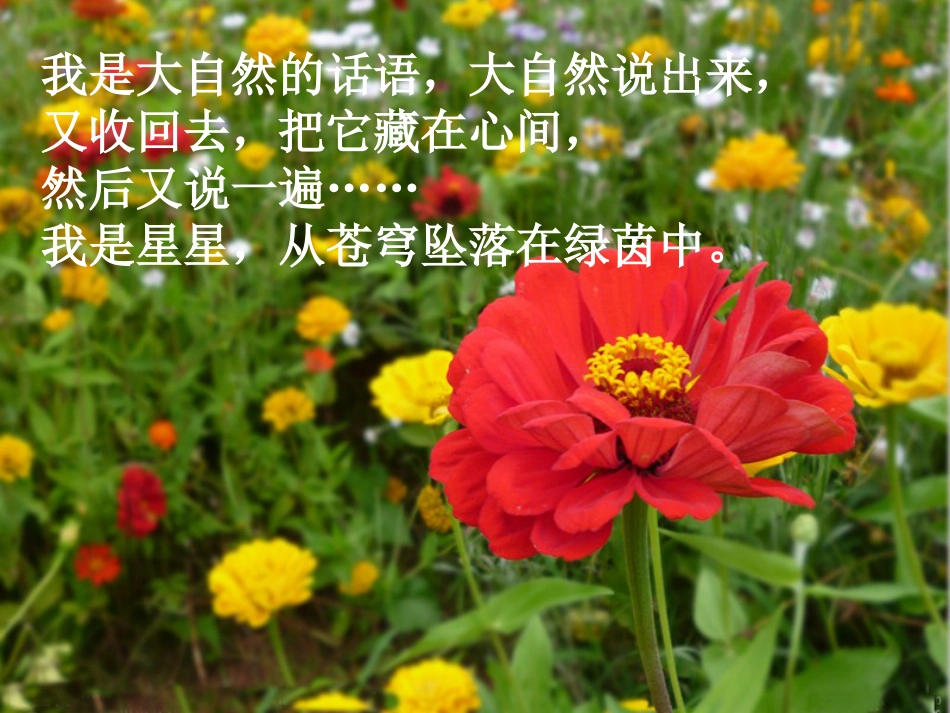 人音版音乐五年级下册-《花之歌》课件.ppt_第2页