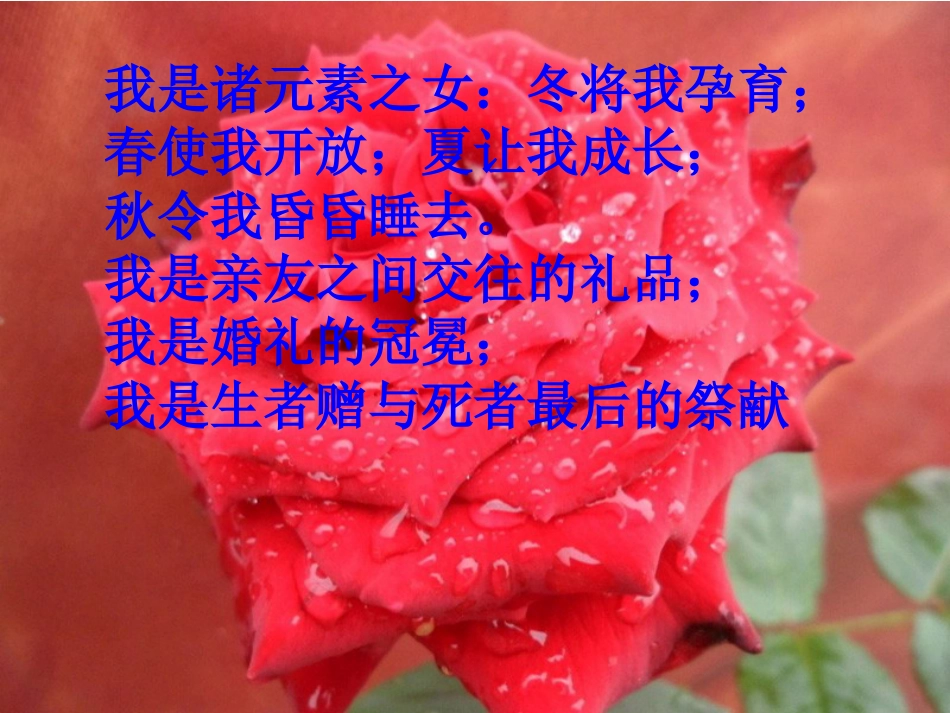人音版音乐五年级下册-《花之歌》课件.ppt_第3页