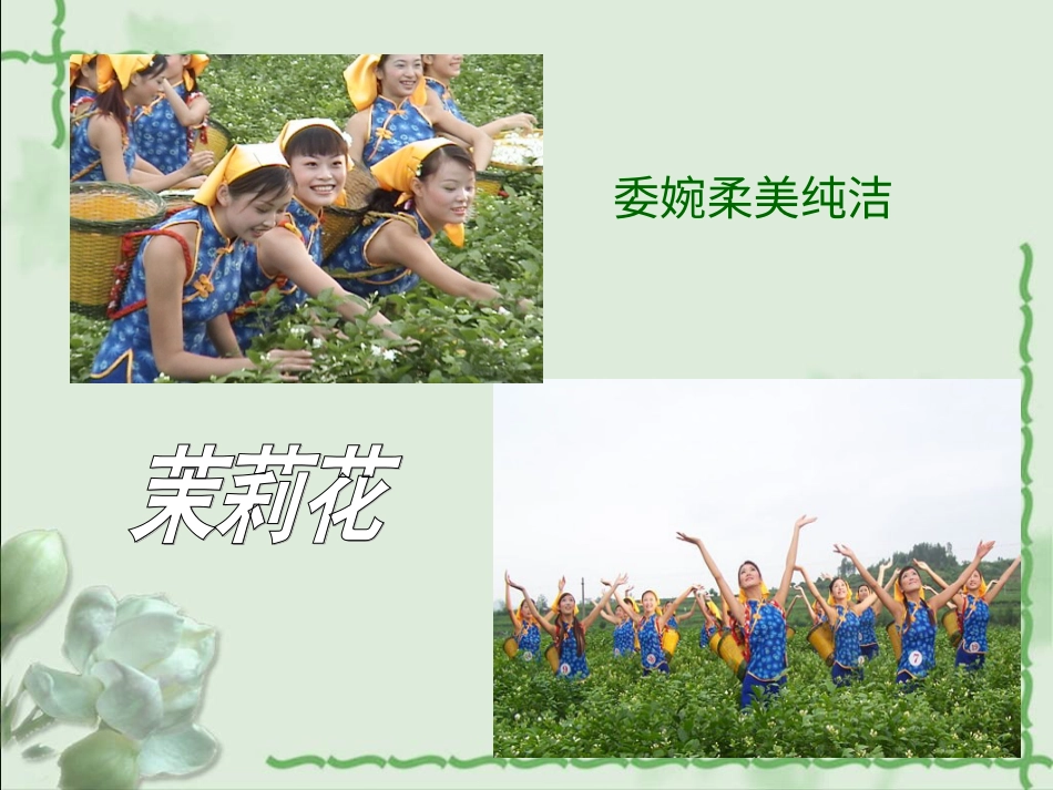 六年级上册人音版音乐-《茉莉花》课件.ppt_第2页