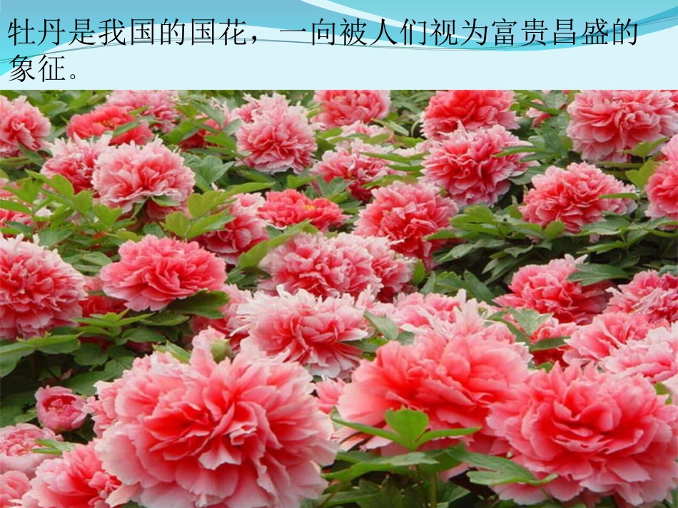 六年级上册人音版音乐-《茉莉花》课件2.ppt_第2页