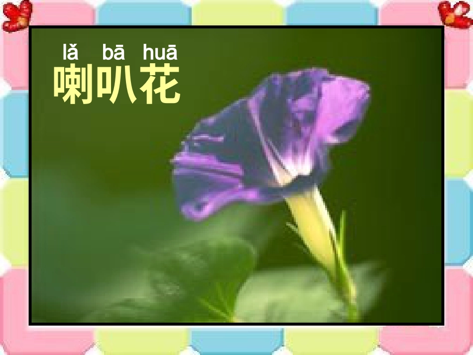【老课标】一年级人教版美术上册-花儿寄深情1.ppt_第3页