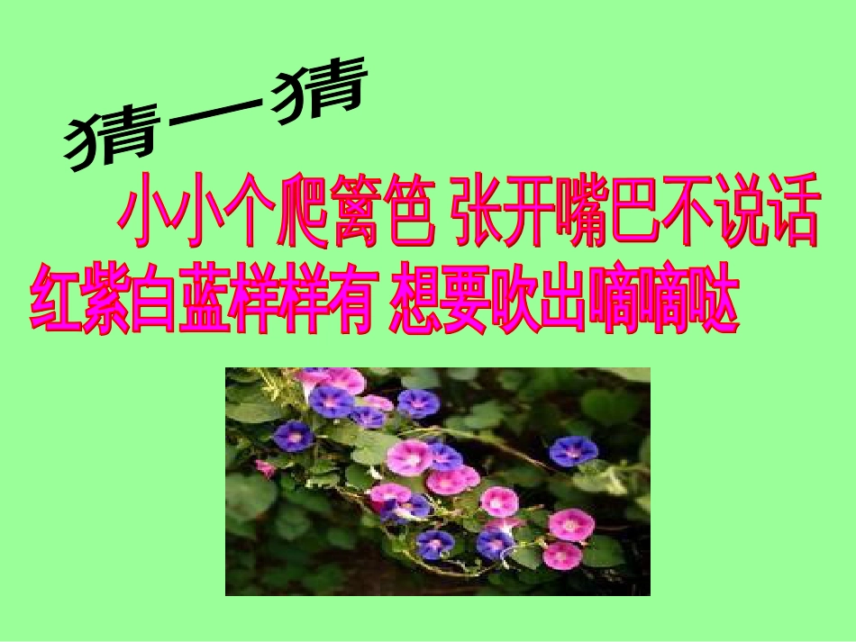 【老课标】一年级人教版美术上册-花儿寄深情3.ppt_第2页