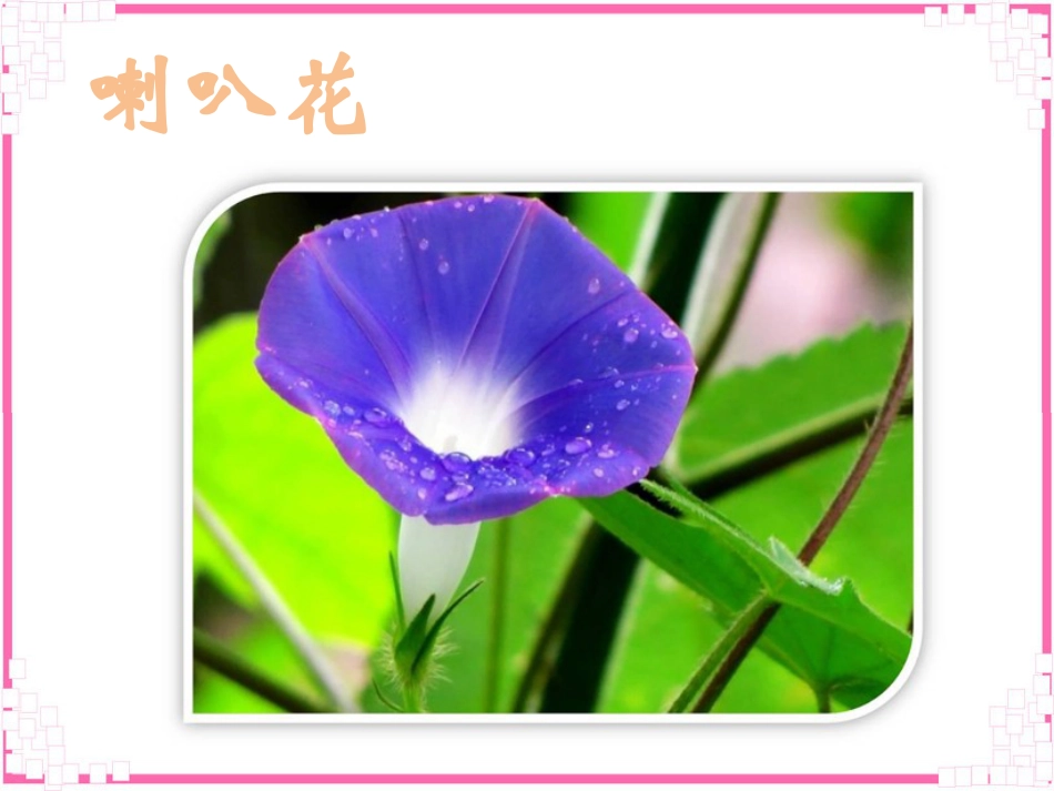 【老课标】一年级人教版美术上册-花儿寄深情4.ppt_第3页