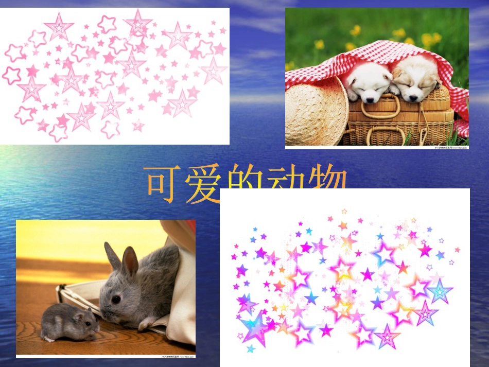 【老课标】一年级人教版美术上册-美丽的植物和动物1.ppt_第2页