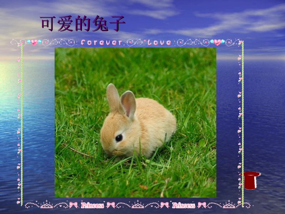 【老课标】一年级人教版美术上册-美丽的植物和动物1.ppt_第3页