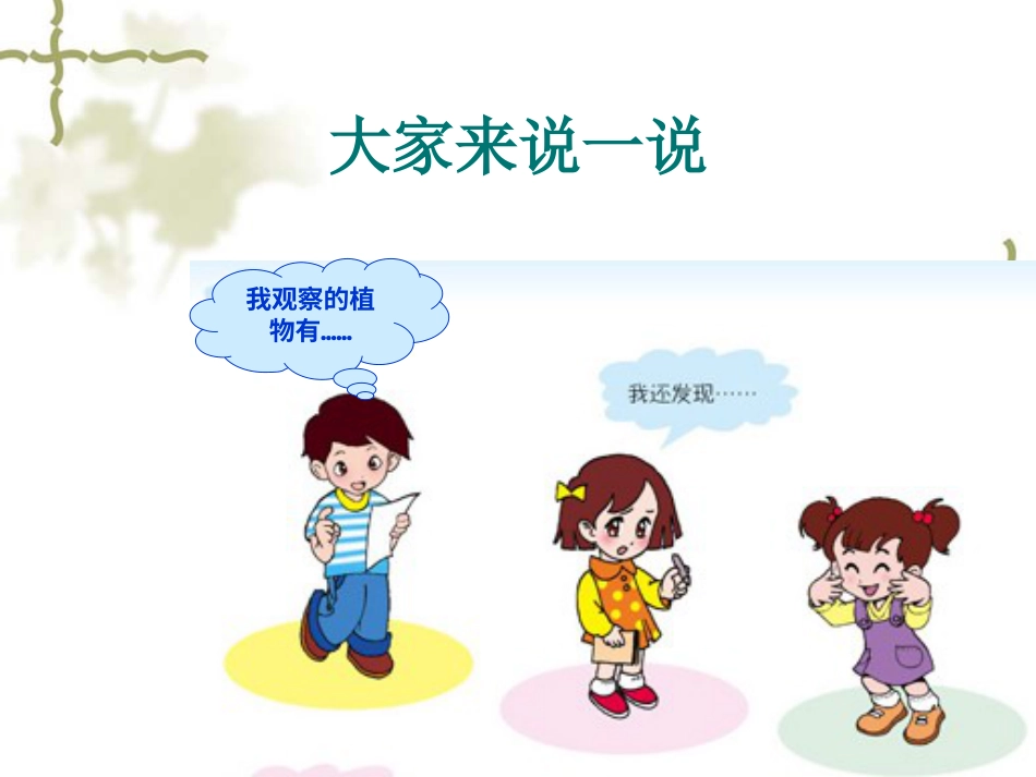 【老课标】一年级人教版美术上册-美丽的植物和动物3.ppt_第2页