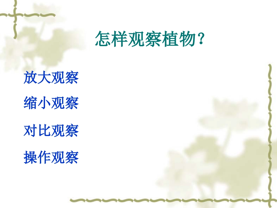 【老课标】一年级人教版美术上册-美丽的植物和动物3.ppt_第3页