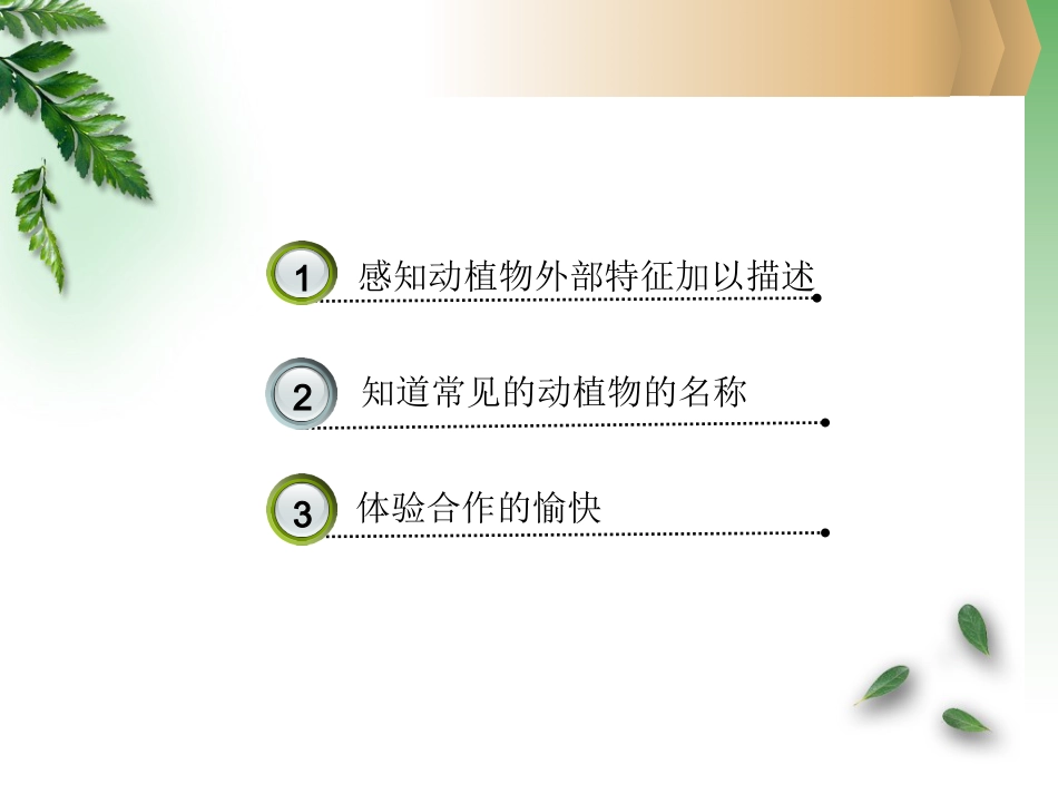 【老课标】一年级人教版美术上册-美丽的植物和动物4.ppt_第2页
