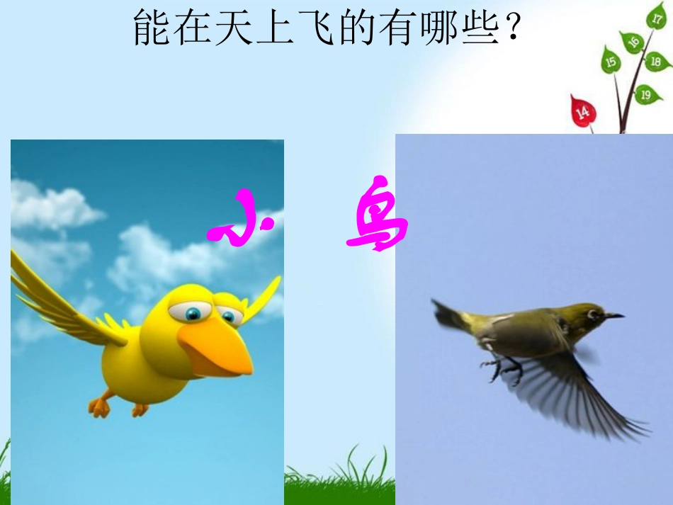 【老课标】一年级人教版美术上册-我在空中飞 3.ppt_第2页