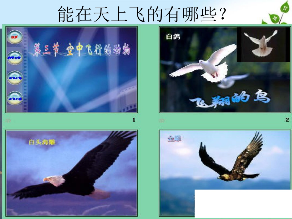 【老课标】一年级人教版美术上册-我在空中飞 3.ppt_第3页
