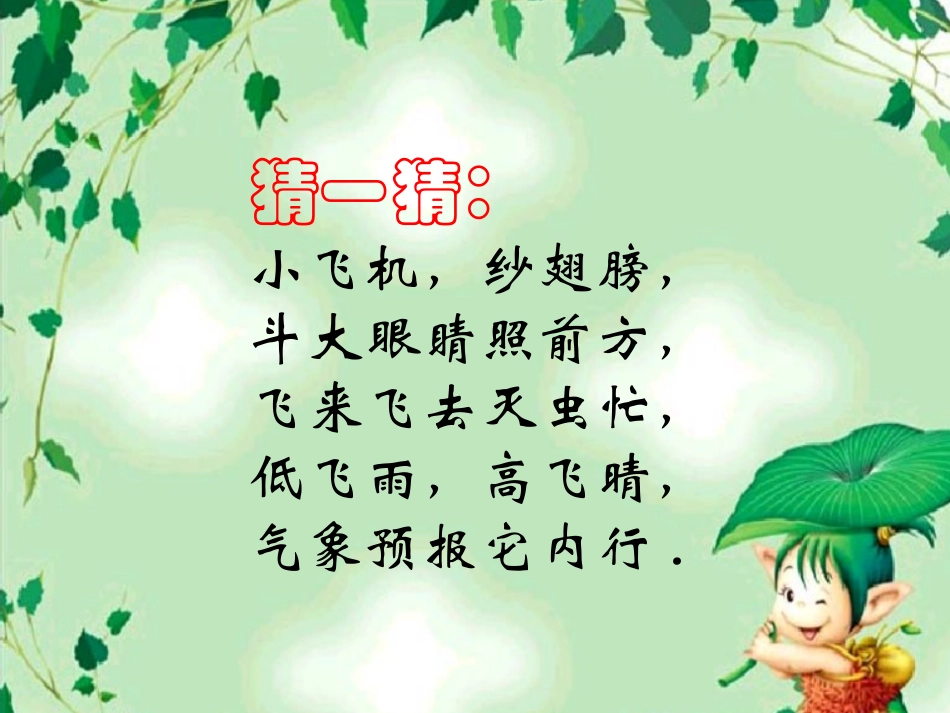 人教版2年级美术上册-《蜻蜓飞飞》课件1.ppt_第1页
