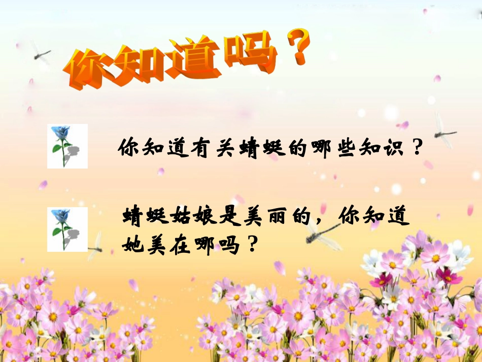 人教版2年级美术上册-《蜻蜓飞飞》课件1.ppt_第3页