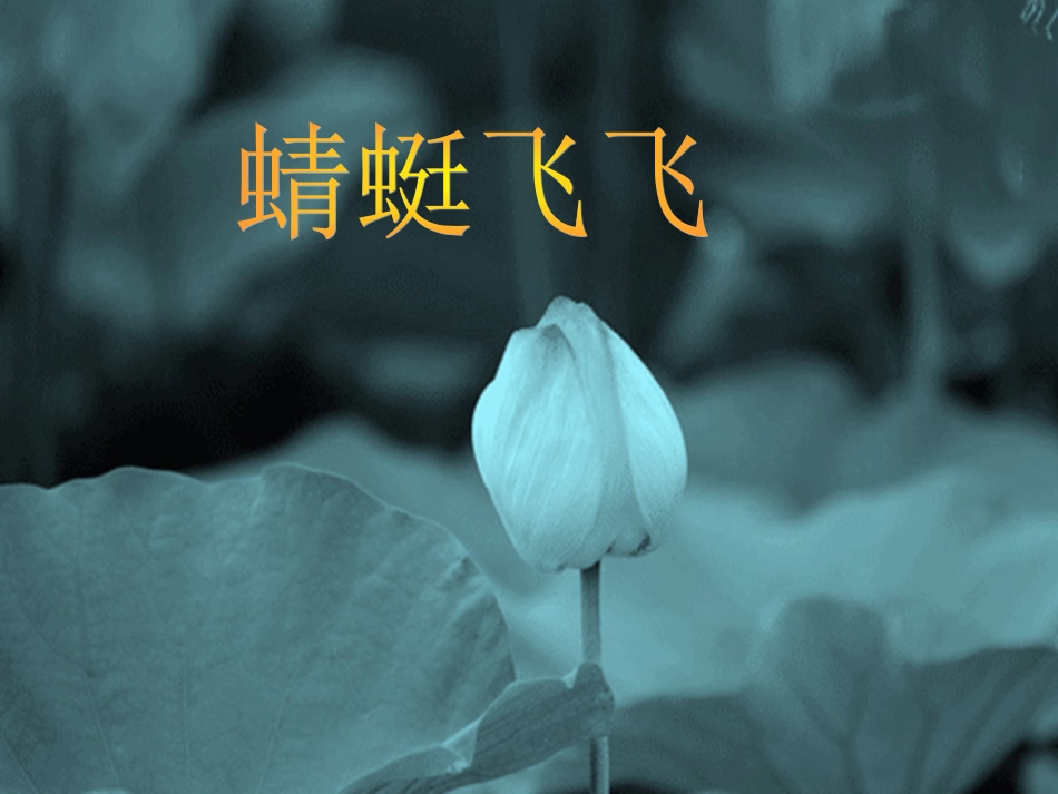 人教版2年级美术上册-《蜻蜓飞飞》课件2.ppt_第1页
