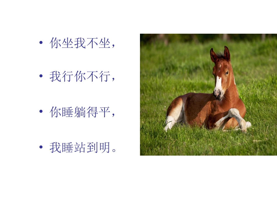人教版2年级美术上册-《我和马儿在一起》课件1.ppt_第2页