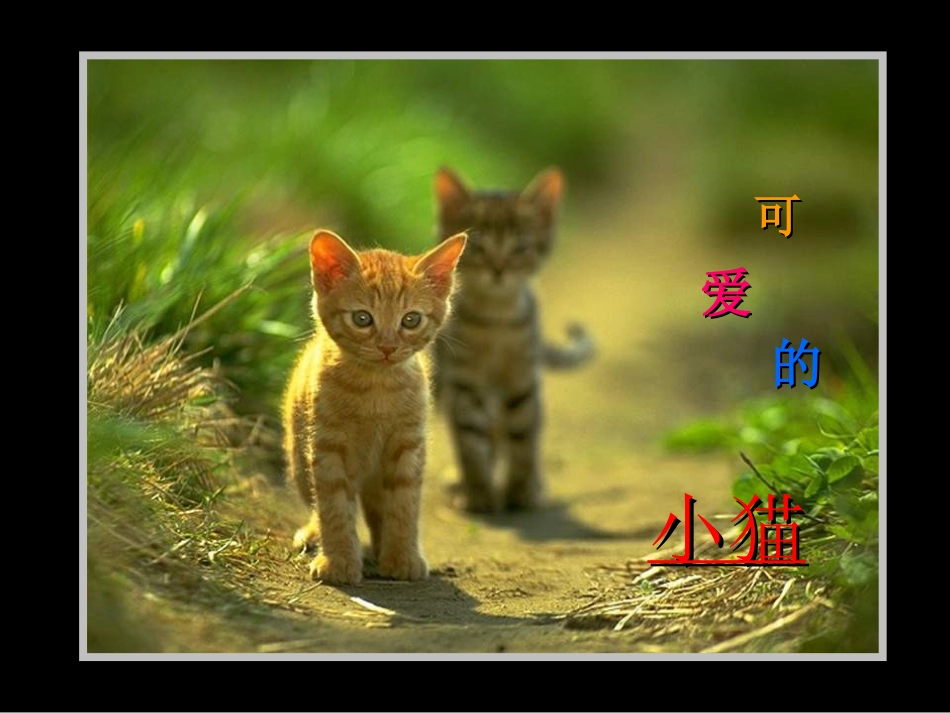 人教版2年级美术下册-《脚印的联想》课件2.ppt_第2页
