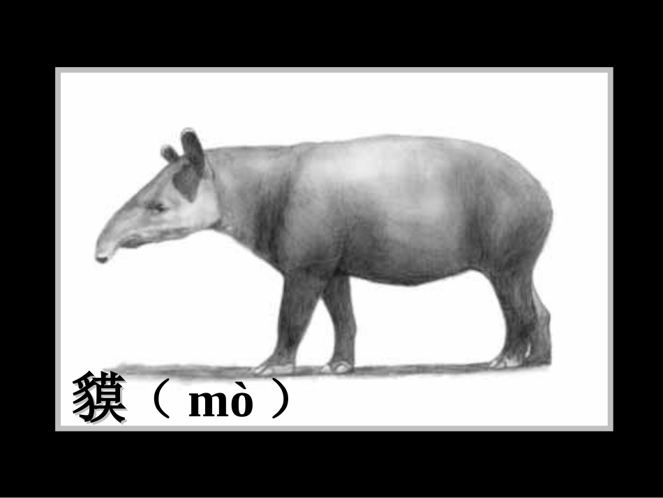 人教版2年级美术下册-《脚印的联想》课件2.ppt_第3页