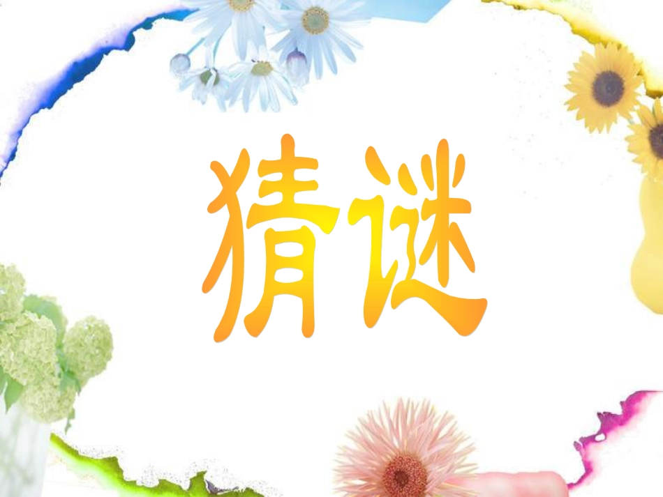 人教版2年级美术下册-《美丽孔雀》课件2.ppt_第2页