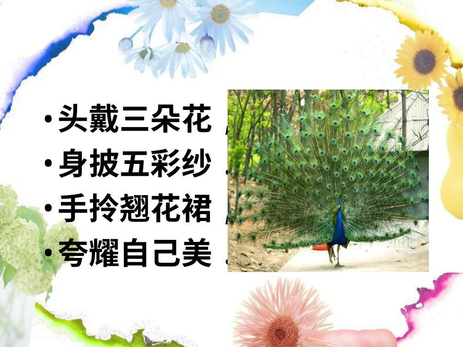 人教版2年级美术下册-《美丽孔雀》课件2.ppt_第3页